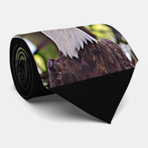Gravata Águia americana
