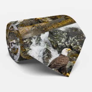 Gravata Águia americana orgulhosa