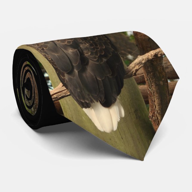 Gravata Águia americana (pássaro nacional) (Rolled)