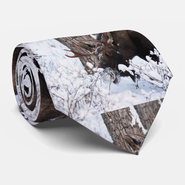 Gravata Alces frios (Rolled)