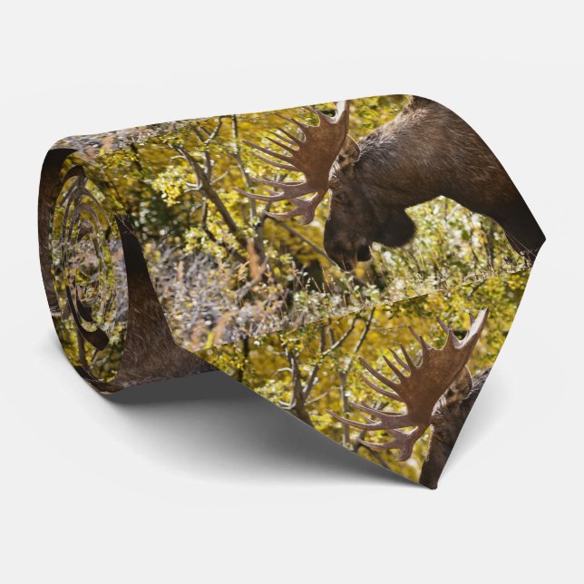 Gravata Alces nobres de Bull (Rolled)