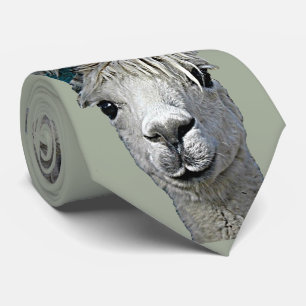 Gravata Alpaca adorável