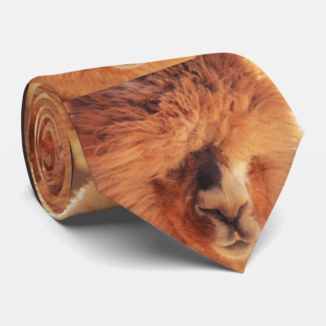 Gravata Alpaca bonita do lama (Rolled)