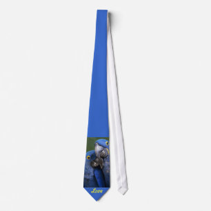 Gravata Amor azul dos papagaios