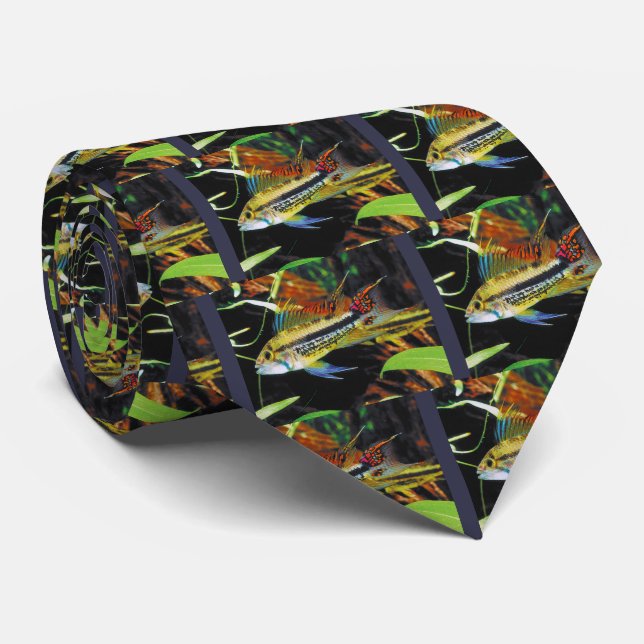 Gravata Apistogramma cacatuoides (Rolled)