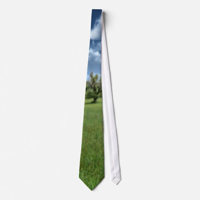 Gravata Appalachian Green Tie (Frente)