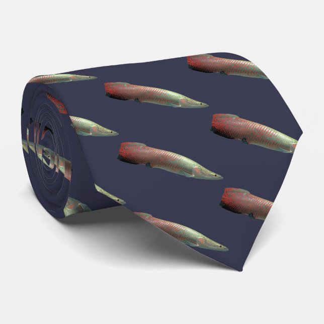 Gravata Arapaima gigas (Rolled)