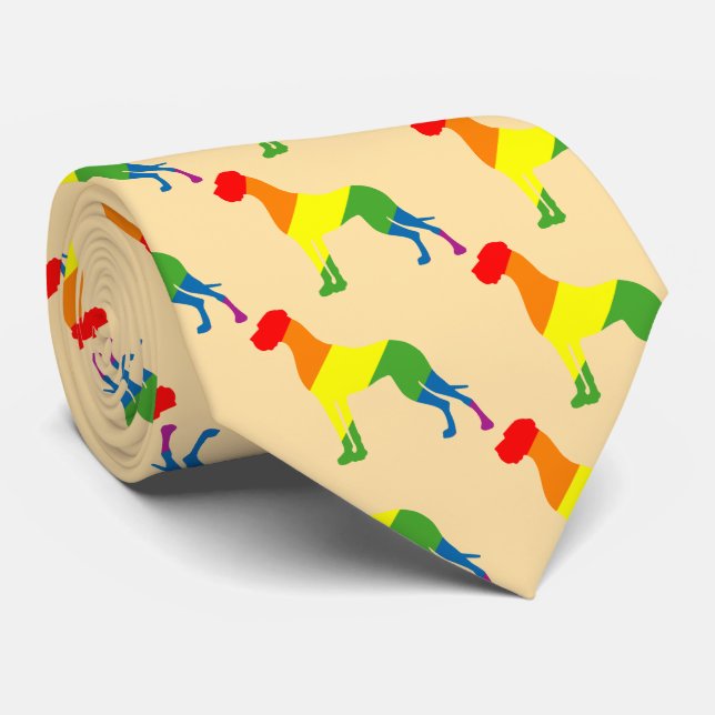 Gravata Arco-íris (Rolled)