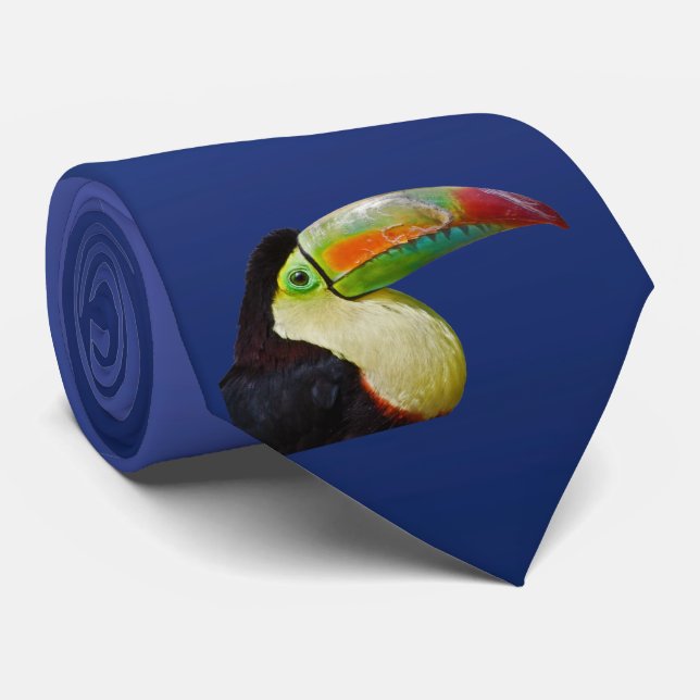 Gravata Arco-Íris Ardido Que Pode Ser Amarrado (Azul Claro (Rolled)