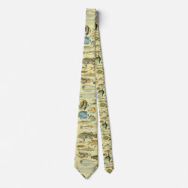 Gravata Arte De Pesca Científica Para Peixes Vintage