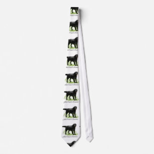 Gravata Arte Liso-Revestida do Retriever