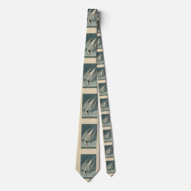 Gravata Ártico Terno das Aves da América de Audubon (Frente)