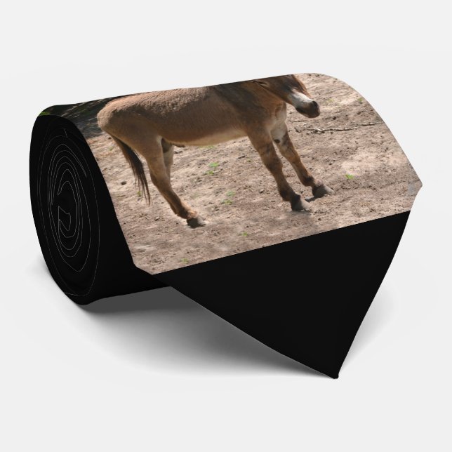 Gravata Asno Democrática (Rolled)