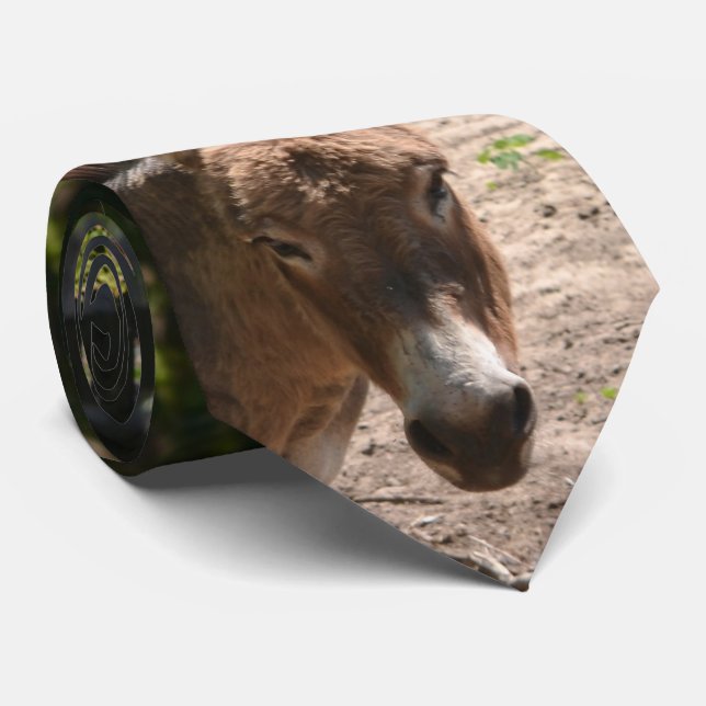 Gravata Asno Democrática (Rolled)