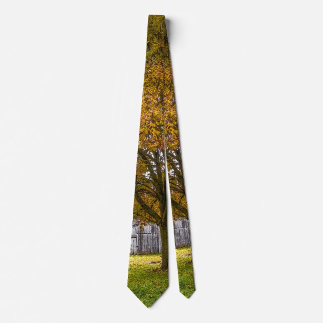 Gravata Autumn Tree E Barn Painterly Neck (Frente)