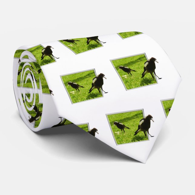 Gravata Aves de Magpie australianas, (Rolled)