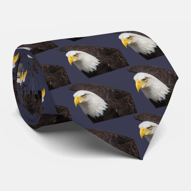 Gravata Bald eagle (Rolled)