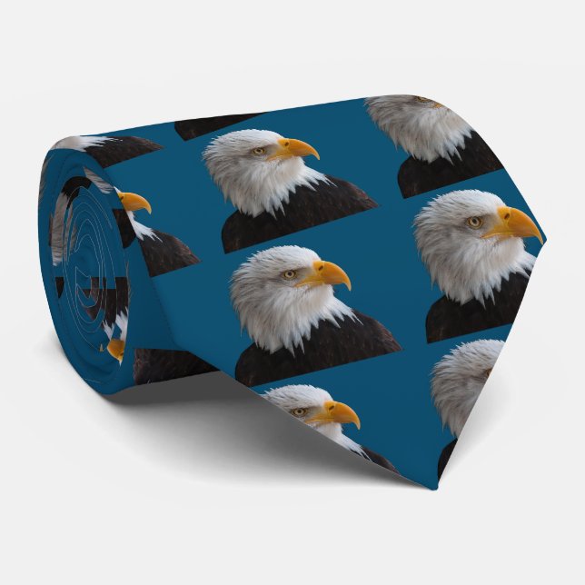 Gravata Bald eagle (Rolled)