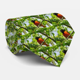 Gravata Baltimore Oriole Men's Tie