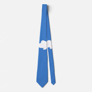 Gravata Bandeira da Antártica