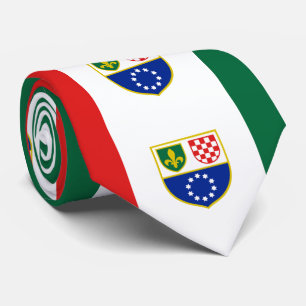 Gravata Bandeira da Bósnia-Herzegovina