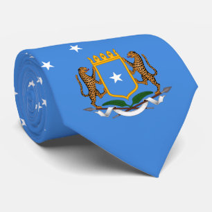 Gravata Bandeira da Somália e Casaco de armas, Bandeira da