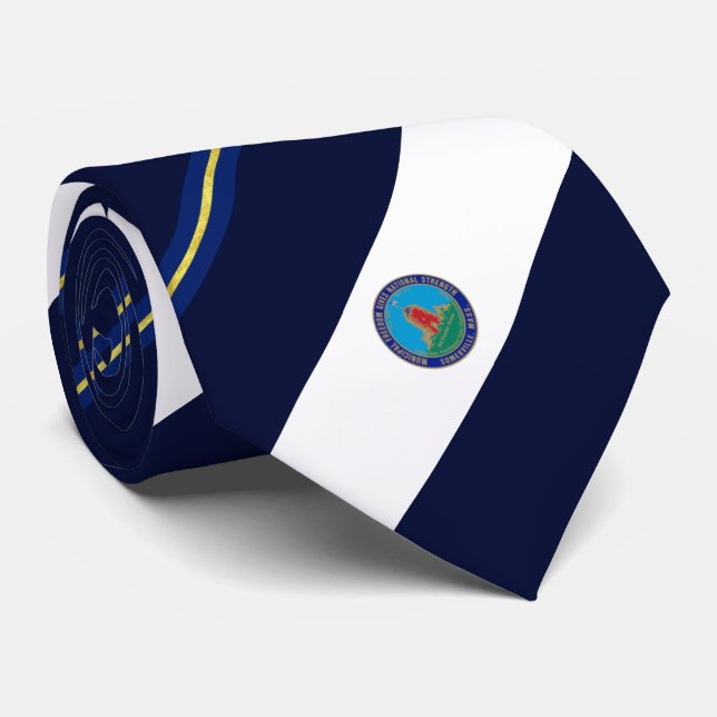 Gravata Bandeira de Somerville (Massachusetts) (Rolled)