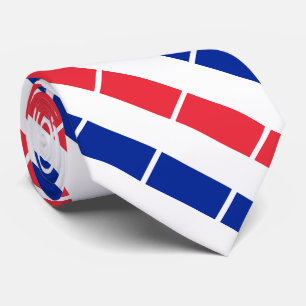 Gravata Bandeira França