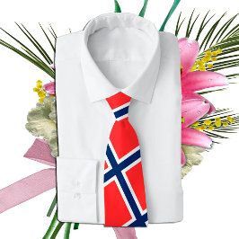 Gravata Bandeira norueguesa e viagem da Noruega, fãs de fé