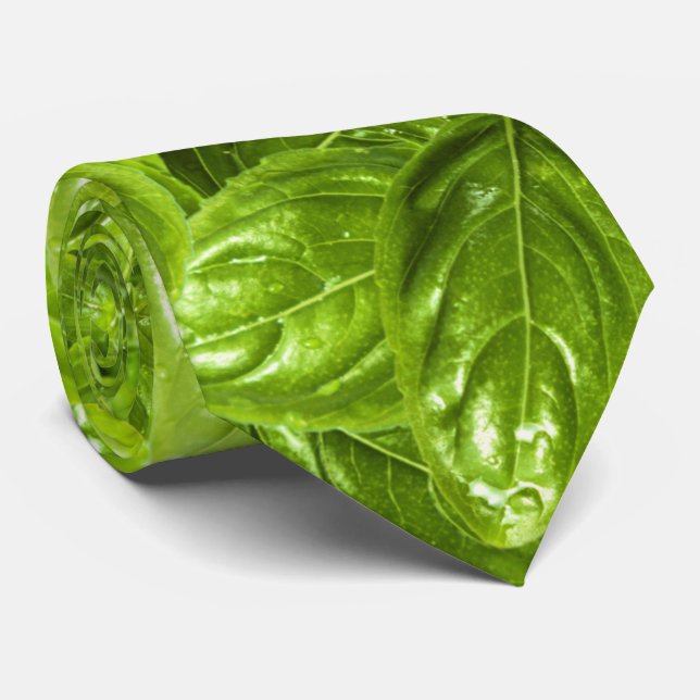 Gravata Basil Deixa O Pescoço Padrão (Rolled)