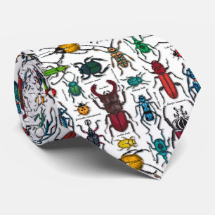 Gravata Beetles on white