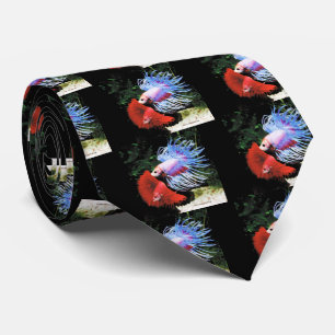 Gravata Betta splendens