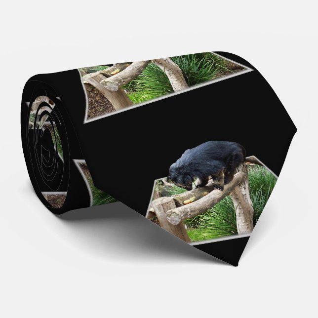 Gravata Binturong Em Pista De Madeira, (Rolled)