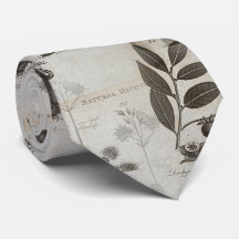 biologia da natureza da história do dodo