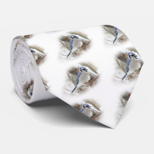 Gravata Blue Jay na neve do inverno