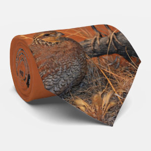 Gravata Bobwhite Quail (Georgia, Missouri e Tennessee)