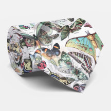 borboletas verão, natureza