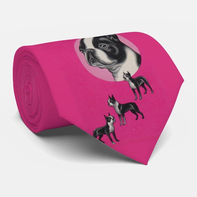 Gravata Boston terriers (Rolled)