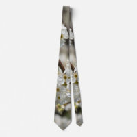 Bradford Select Focus Tie