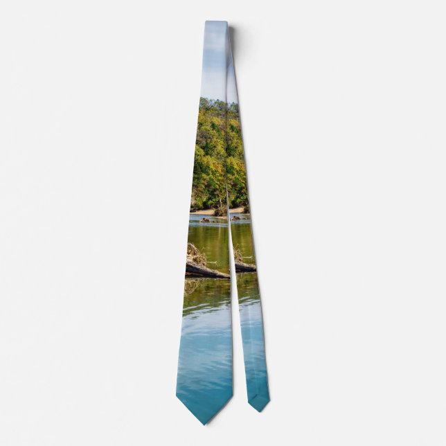 Gravata Bryant Creek Autumn Tie (Frente)