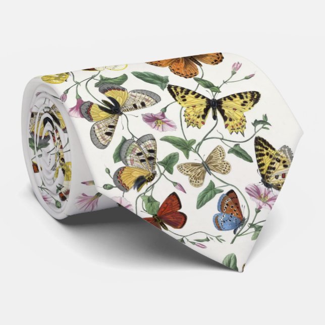 Gravata Butterfly & Moth por Paul Gervais (Rolled)