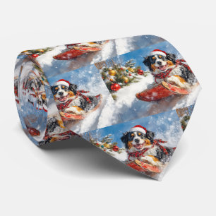 Gravata Cachorro da Montanha Bernese no Natal da Seiva