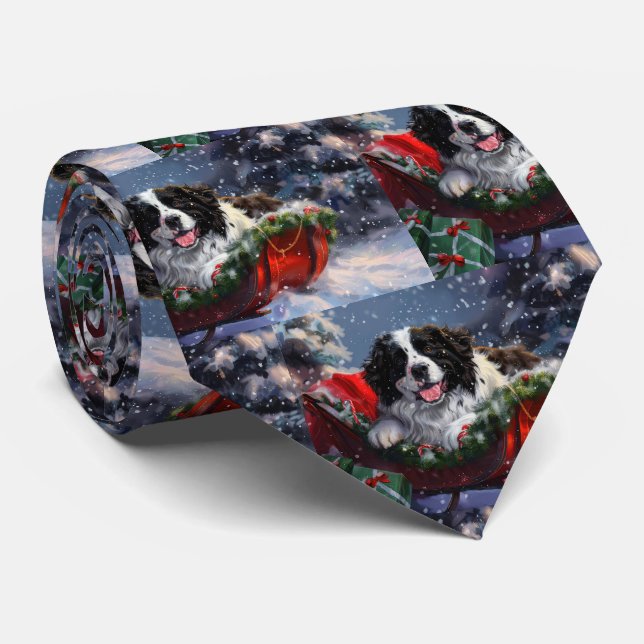 Gravata Cachorro de Terra Nova Festivo (Rolled)