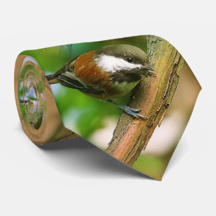 Gravata Cantarilho Curioso E Curioso, De Baca-Chickadee