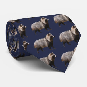Gravata cão Raccoon