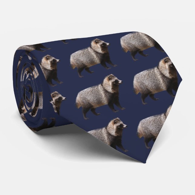 Gravata cão Raccoon (Rolled)