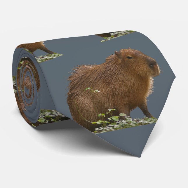 Gravata Capybara (Rolled)