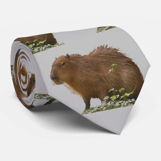 Gravata Capybara Neck Tie (Rolled)