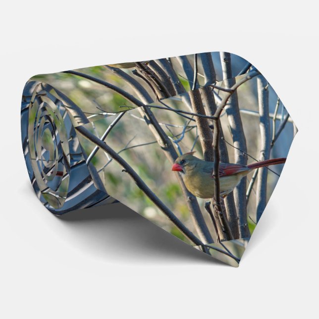 Gravata Cardinal feminino (Rolled)