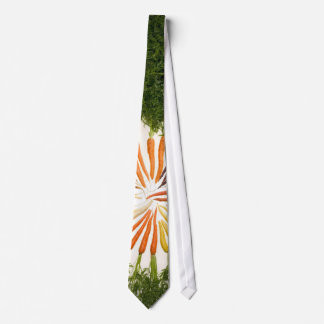Gravata Carrot Center Tie